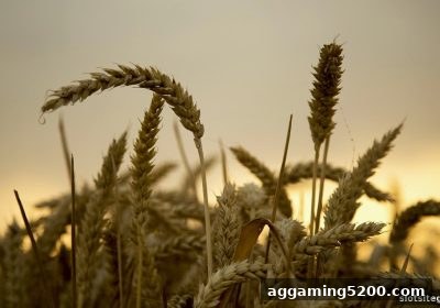 首存优惠全攻略：在Slots平台玩转PG老虎机，解锁全新游戏体验